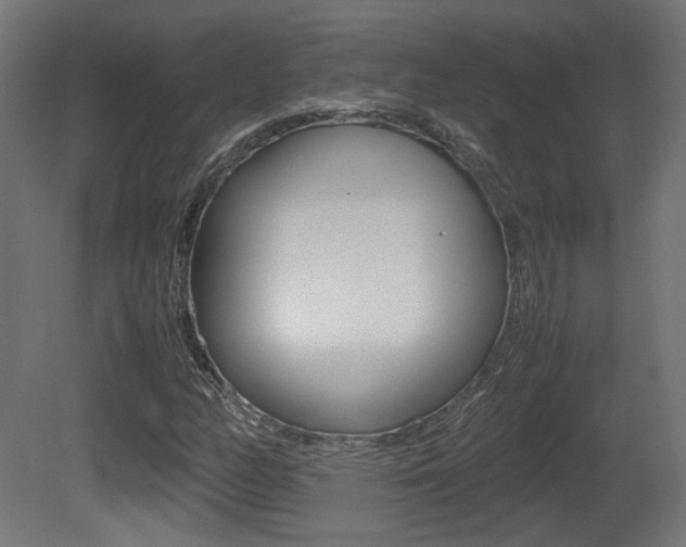 X0000081351158200701111058