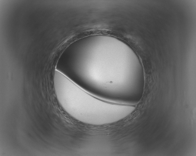 X0000081351159200701111058