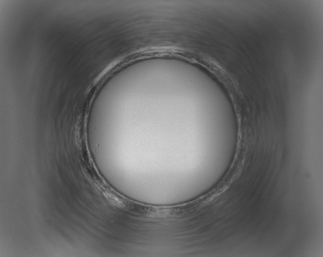 X0000081351162200701111058