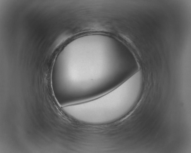 X0000081351163200701111058