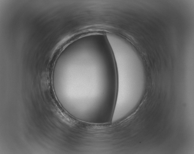 X0000081351164200701111058