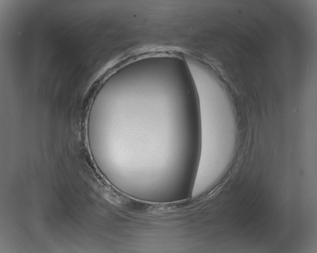 X0000081351165200701111058