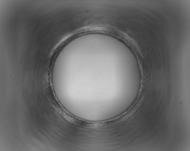 X0000081351166200701111058