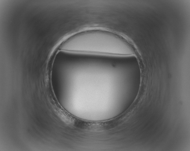 X0000081351167200701111058