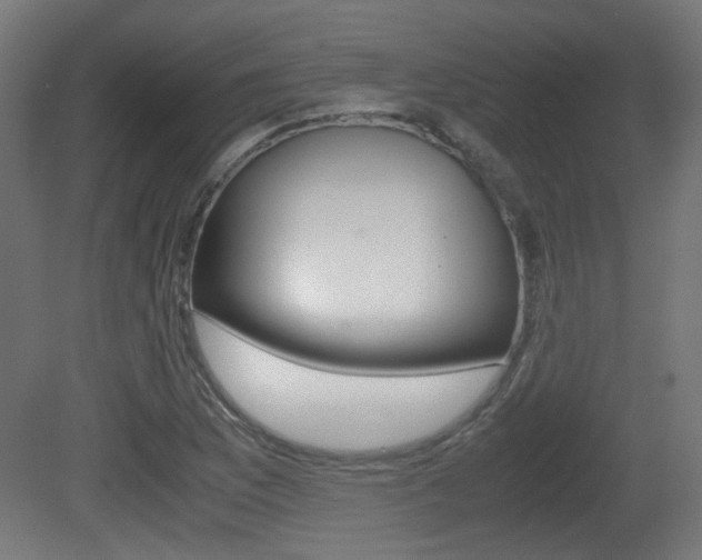 X0000081351169200701111058
