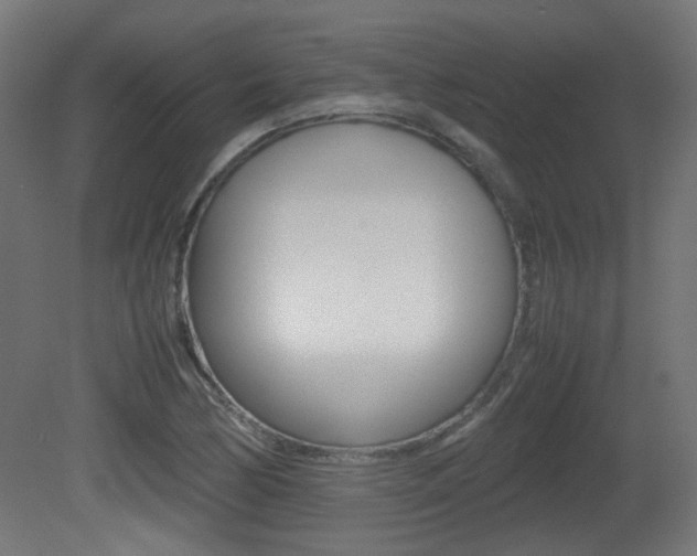 X0000081351170200701111058