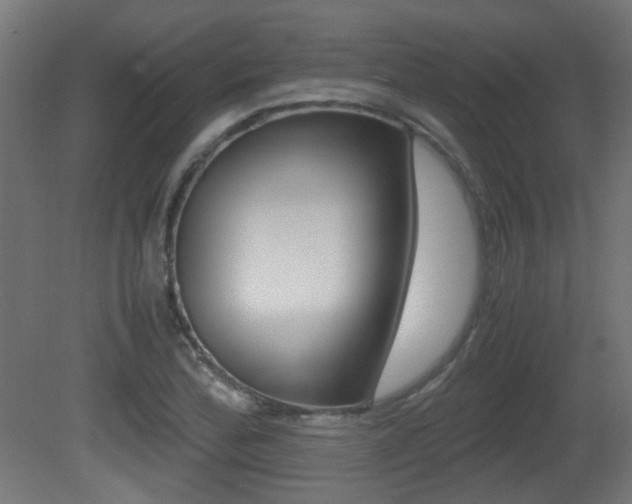 X0000081351172200701111058