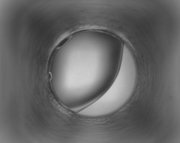 X0000081351173200701111058
