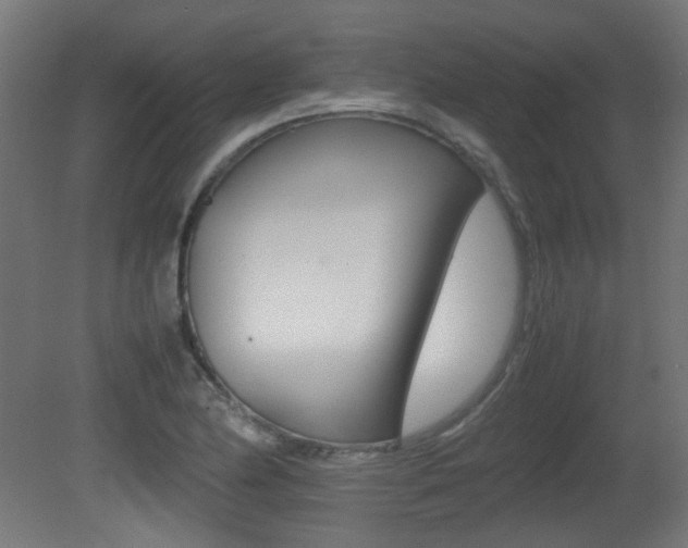 X0000081351174200701111058