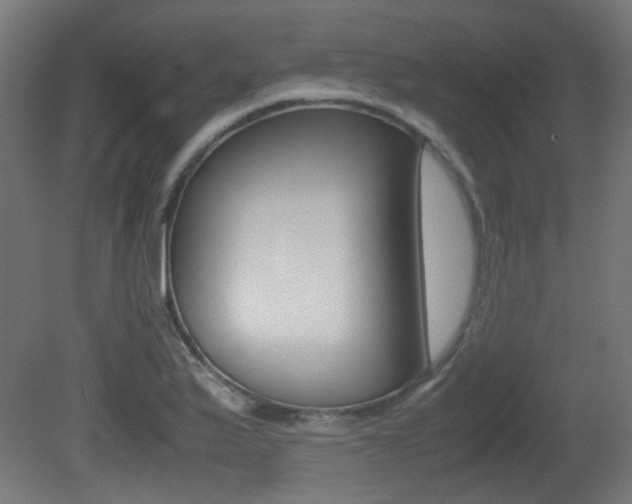 X0000081351175200701111058