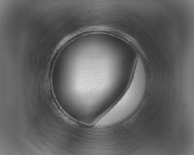X0000081351176200701111058