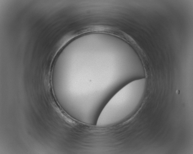 X0000081351178200701111058