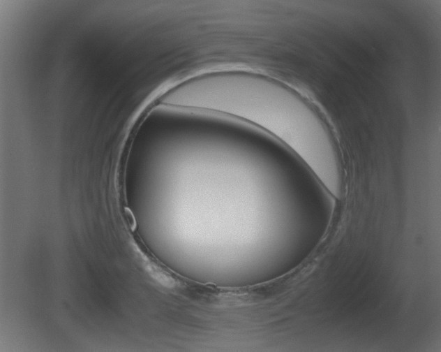X0000081351181200701111058