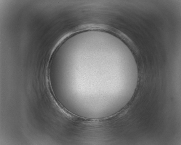 X0000081351182200701111058