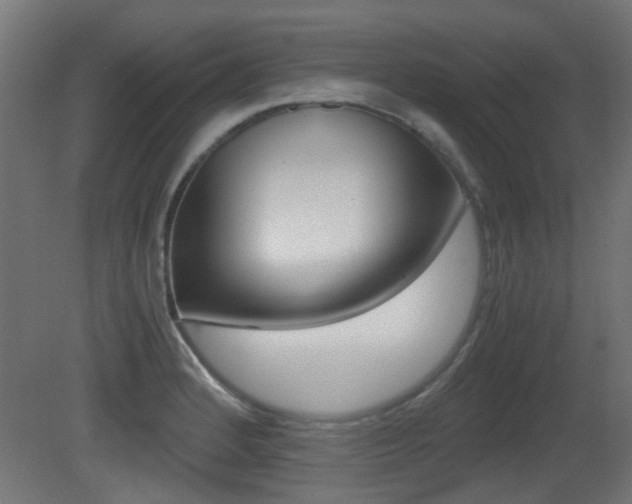 X0000081351184200701111058