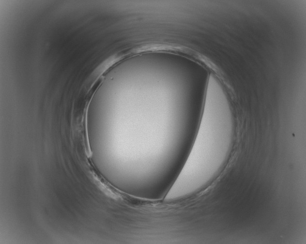 X0000081351185200701111058