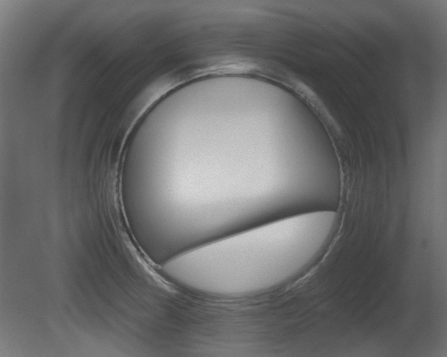 X0000081351186200701111058
