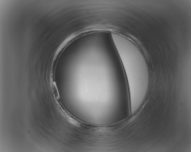 X0000081351188200701111058