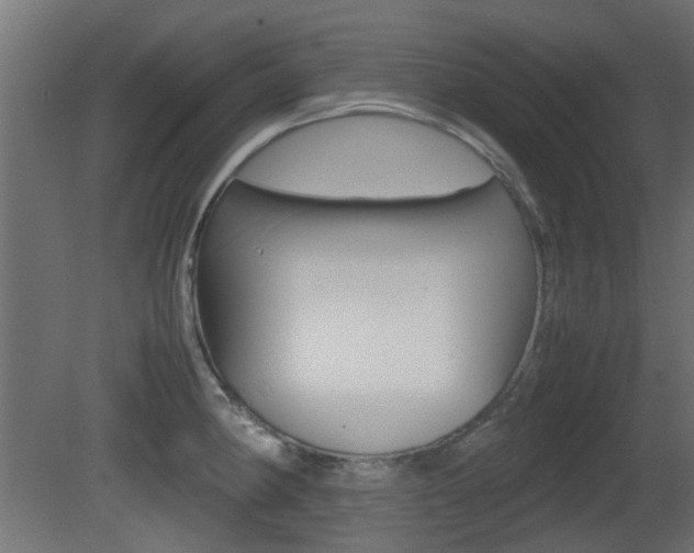 X0000081351190200701111058