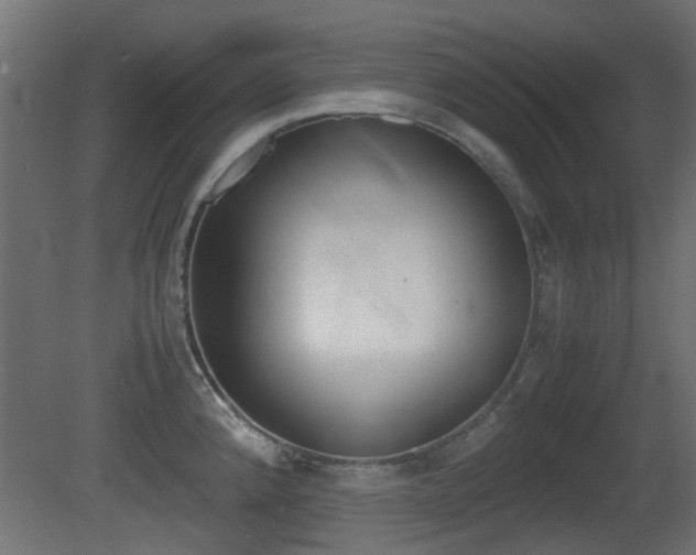 X0000081351192200701111058