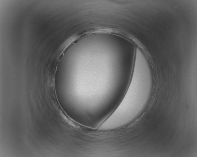 X0000081351193200701111058