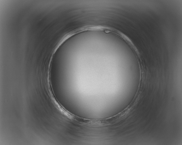X0000081351194200701111058