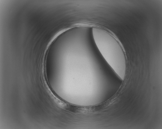X0000081351195200701111058