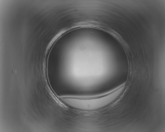 X0000081351196200701111058