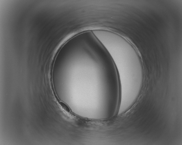 X0000081351197200701111058