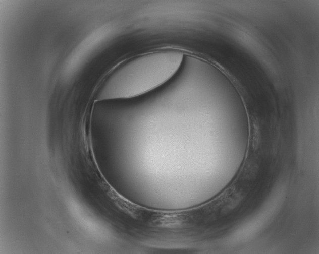 X0000081351198200701111058