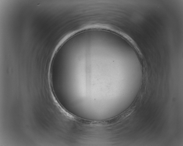 X0000081351199200701111058