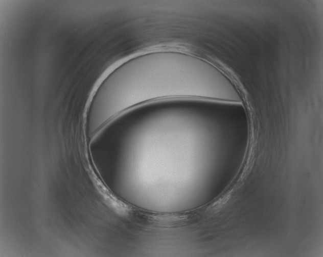 X0000081351200200701111058