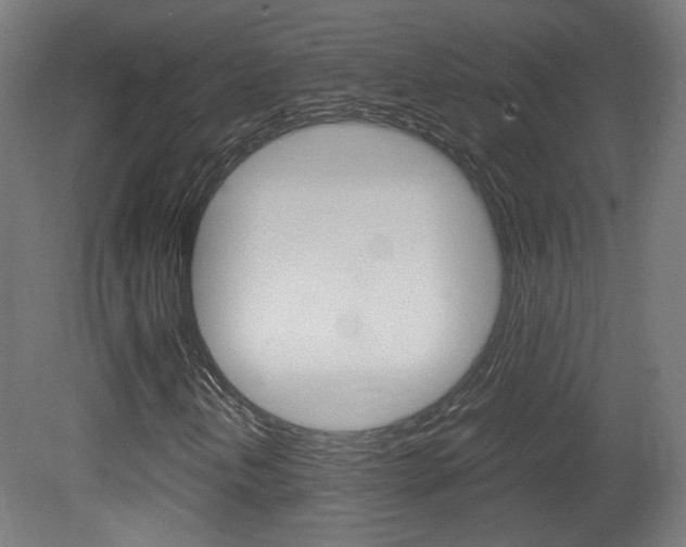 X0000081351202200701111057
