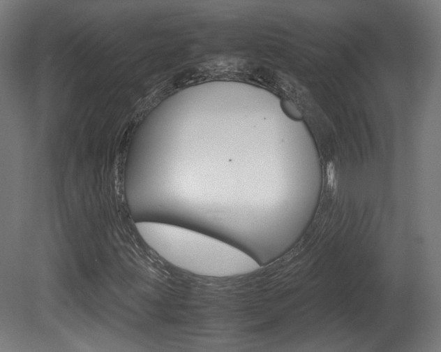 X0000081351203200701111057