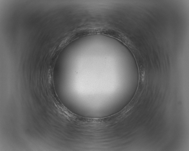 X0000081351204200701111057