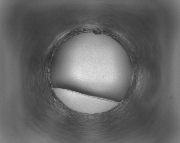 X0000081351207200701111057