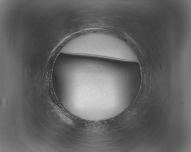X0000081351208200701111057
