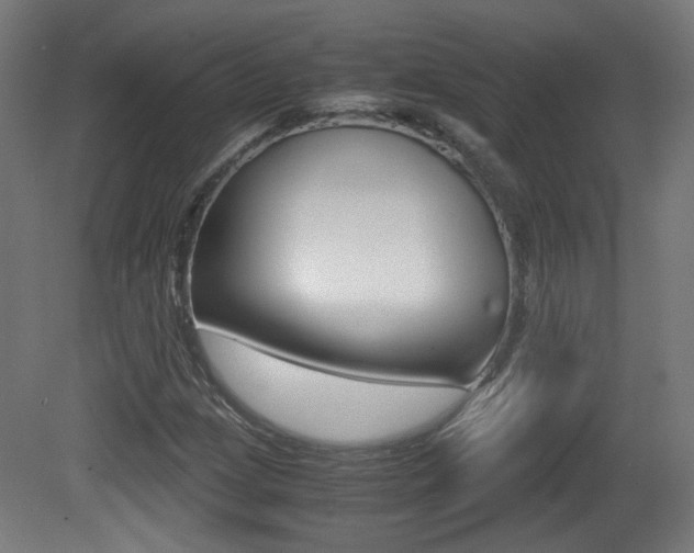 X0000081351209200701111057
