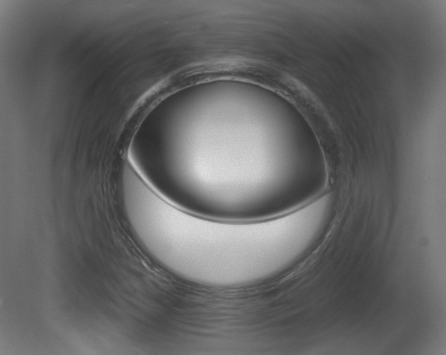 X0000081351210200701111057