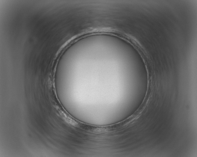 X0000081351212200701111057
