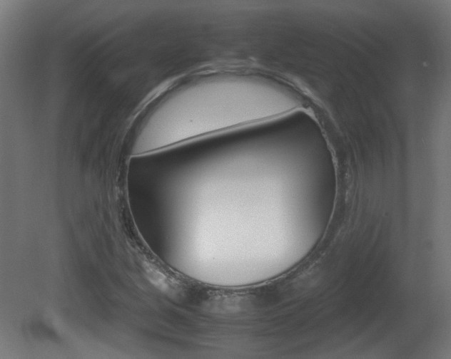 X0000081351213200701111057