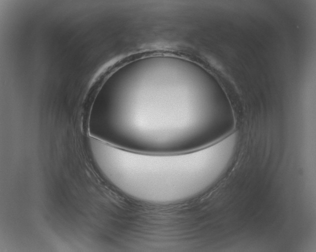 X0000081351214200701111057