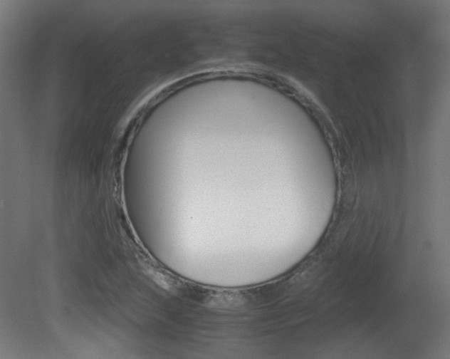 X0000081351215200701111057