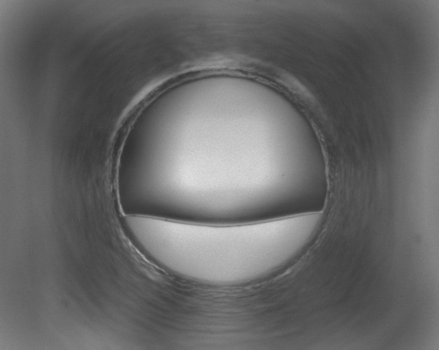 X0000081351216200701111057