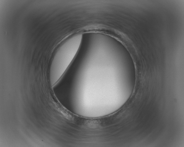 X0000081351217200701111057