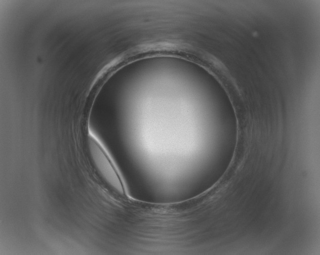 X0000081351218200701111057