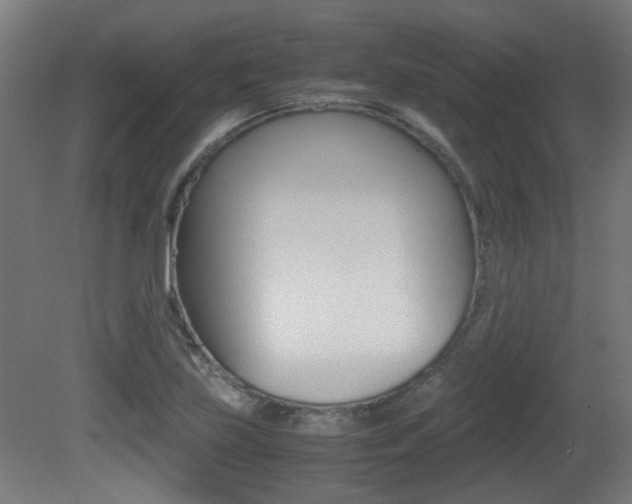 X0000081351219200701111057