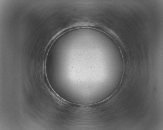X0000081351220200701111057