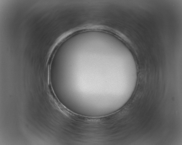 X0000081351223200701111057