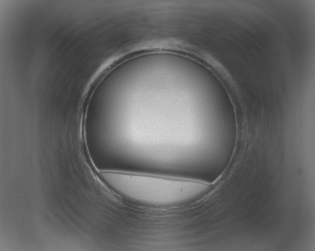 X0000081351224200701111057